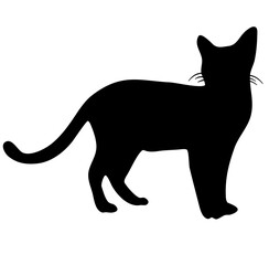 Cat Silhouette Collection Vector 