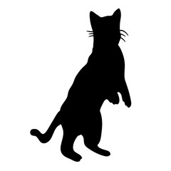 Cat Silhouette Collection Vector 