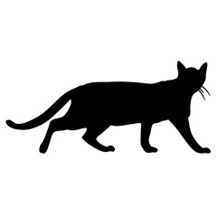 Cat Silhouette Collection Vector 