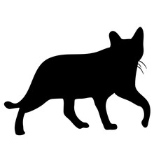 Cat Silhouette Collection Vector 