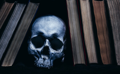 Photo of shaded human skull laying between books row.