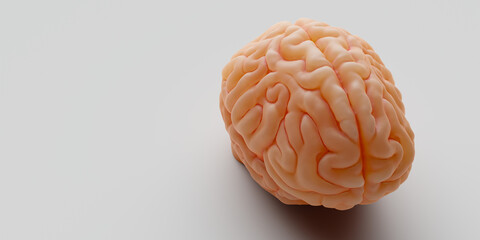 Copy space concept background related to brain science,3d rendering