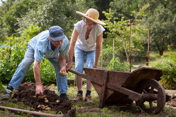 Togetherness in Retirement Timer For Caucasian Couple in Their Garden