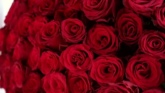 A large bouquet of red roses close-up at an event. valentine's day and march 8