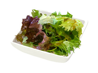 レタスサラダ（四角皿）