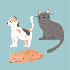 Fototapeta na wymiar illustration of 3 cats in various pattern