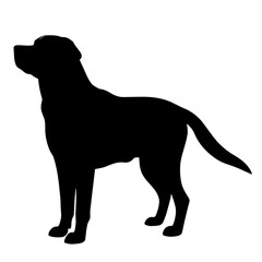 Labrador Dog, Labrador SVG Bundle, Labrador Svg, Labrador Png, Labrador Dog Svg Png, Labrador Head Svg, Labrador silhouette, Labrador Clipart, Dog Svg