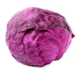 Fototapeta premium One raw red cabbage with water drops isolated on white