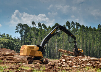 Harvester Forest Machine Logging Equipment 