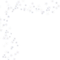  white flowers frame without background