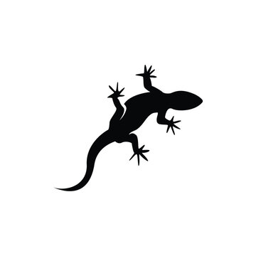 lizard icon vector
