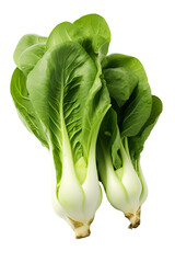 Bok choys isolated on white background PNG