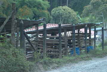 Fototapeta premium fence, landscape, nature, tree, grass, wooden, wood, trees, bridge, sky, countryside, rural, path, road, summer, forest, gate, blue, farm, meadow, park, water, field, outdoors, view