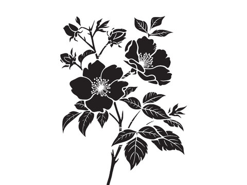 Azaleas Flower Silhouette: Minimalist Black on White Stenciled Iconography - Minimalist African Flower Illustration