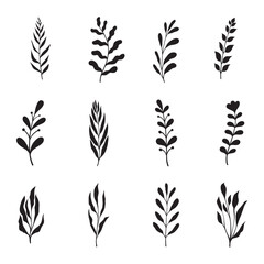 Set of leaf silhouette hand drawn vector	