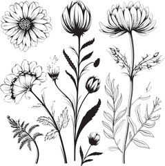 Floral Harmony Black Vector Logo with Botanical Elegance Sleek Petals Monochromatic Icon of Botanical Floral Design