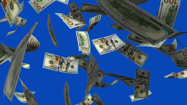 3D animation of US dollar notes Falling On blue screen. Money transition effect. Remove the background by keying or subtracting with the black and white matte to replace with a custom one