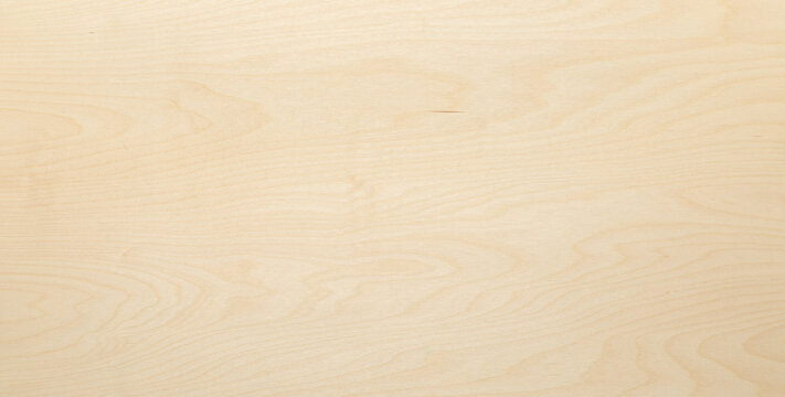 Texture background. High key birch wood plank natural texture, plank texture background, plank tabletop background.	