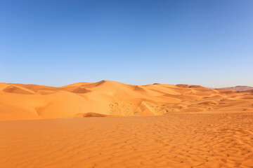 Fototapeta na wymiar Desert Landscape Background