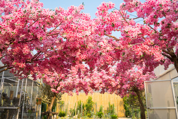 Artificial of beautiful cherry blossoms and blue sky. Japanese sakura garden. Japan hanami festival...