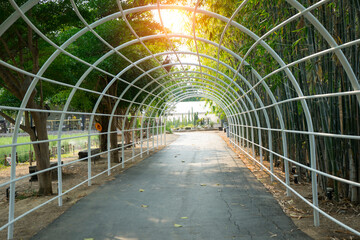 Steel structure with curve of pergola look like tunnel and sunlight background with bamboo tree at the park. - Powered by Adobe