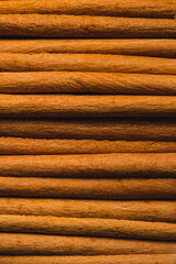 macrophotography of cassia cinnamon sticks