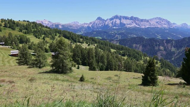 Scenic summer mountain landscape with rustic wooden huts nestled in lush meadow at foot of rocky Dolomites on sunny day, Italy . High quality 4k footage