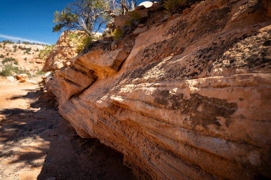 Flood Carvings