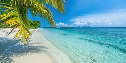 Serene beach with crystal-clear waters and a palm tree in the foreground