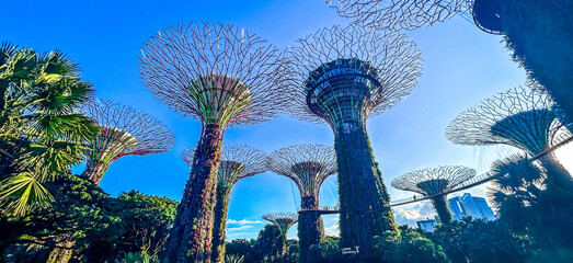 Gardens by the Bay and Sun and Sky. Tourist attractions in Singapore.