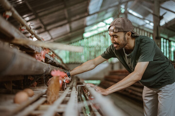 Asian entrepreneur diligently observes and checks the chicken cages while on the farm