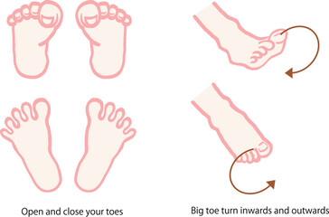 ２種類の足の指のストレッチを説明するベクターイラスト