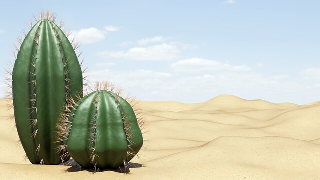 3d rendering of a group of cacti in the desert.  The cacti are all different sizes and shapes