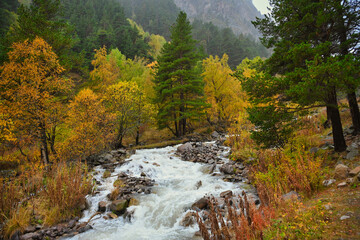 Forest waterfall on the Terskol River in autumn