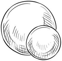 yoga ball handdrawn illustration