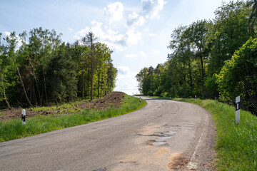 Road between trees in the landscape 