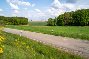 Road with agriculture fields and trees in the landscape 