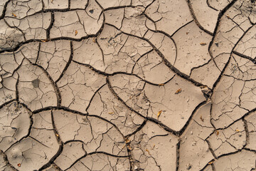 Brown dried out earth with cracks