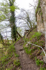 Walking in a forest park in a mountainous area during the onset of the spring-summer period.
