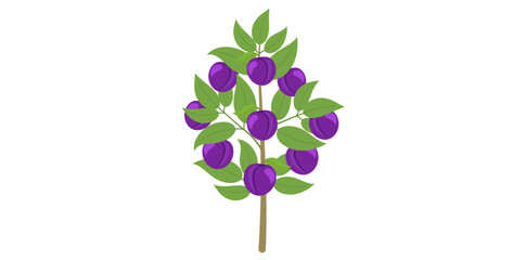 Hand Drawn Blueberry Fruit Tree Plant Vector Illustration.