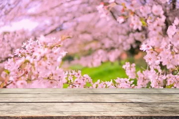 Keuken spatwand met foto wooden table with cherry blossom background © Ray Park Stock Photo