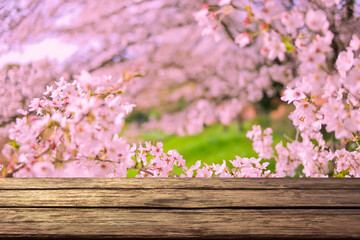wooden table with cherry blossom background