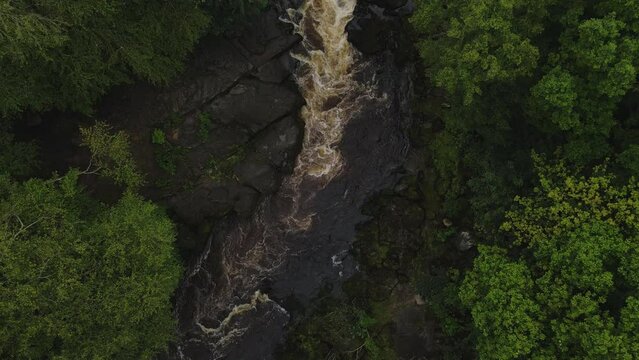 Rising birds' eye view drone shot of powerful Yorkshire river surrounded by trees in autumn.