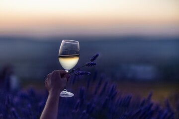 Glass white wine lavender field. Woman hand holds a glass with lavander and wine in the Lavender field at sunset Violet flowers on the background.. Conscious consumption. Wellness and natural concept