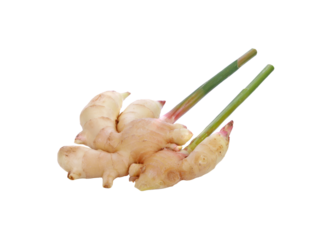 Greater galangal transparent png