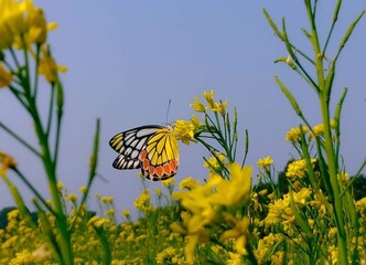 Beautiful blooming flower in garden 