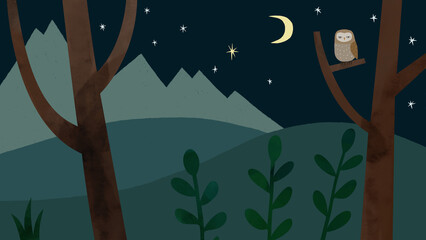 illustration of night forest