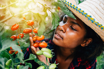 A close-up portrait captures a farmer's engagement in seasonal gardening picking fresh plum...