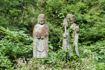 森の中にあるお地蔵様　地蔵　緑　木　山の中　