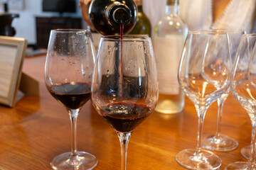 Wine tasting in old wine domain, Saint Estephe village, Haut-Medoc vineyards in Bordeaux, left bank of Gironde Estuary, France, wine tour in Bordeaux